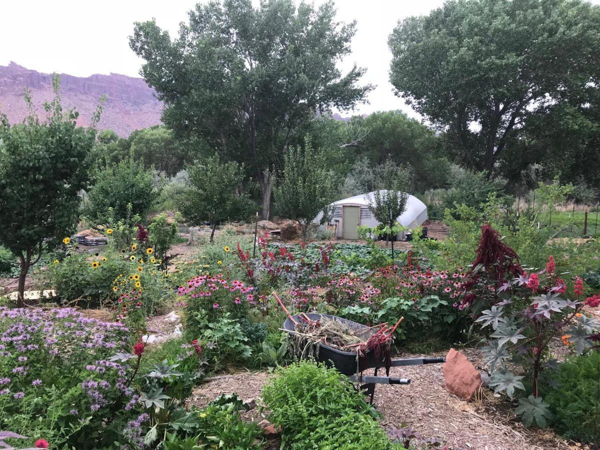 Red Moon Lodge Moab Εξωτερικό φωτογραφία